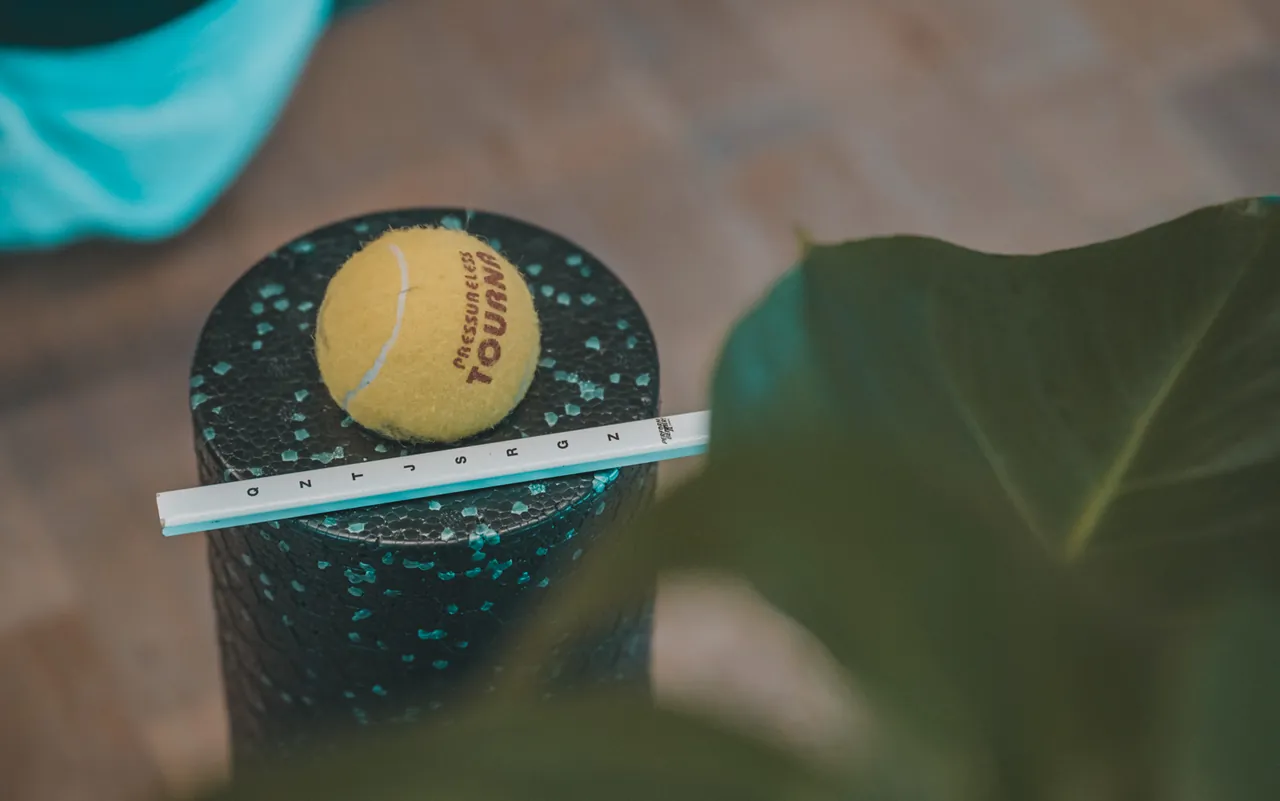 Faszienrolle und Tennisball auf dem Holzboden neben einer Pflanze